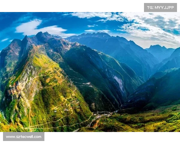 阿苏,跨越巫溪山海的奔赴 阿苏,跨越巫溪山海的奔赴